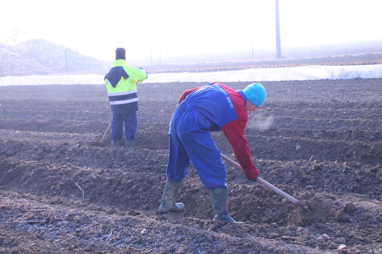 image43 Progetti - Cooperativa Villaggio Fanciullo