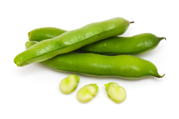 fava Cooperativa Villaggio Fanciullo - Cooperativa Villaggio Fanciullo